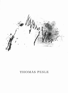 Couverture du livre "Voyons / Voir de Thomas Pesle.